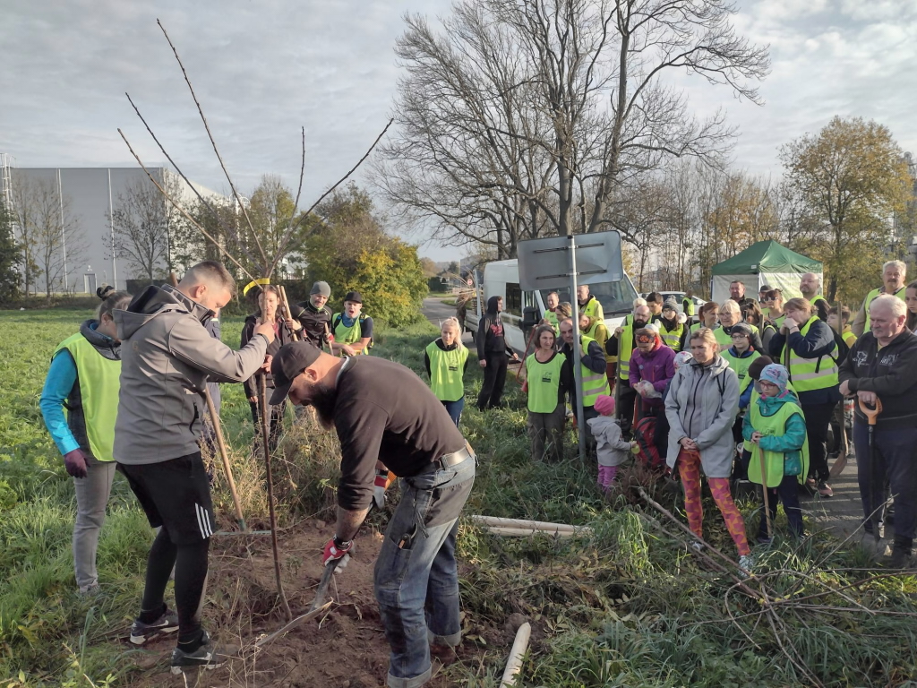 Na sázení ovocných stromů mezi Kněžmostem a Koprníkem dorazilo rekordních 90 dobrovolníků. Foto: ČSOP Klenice
