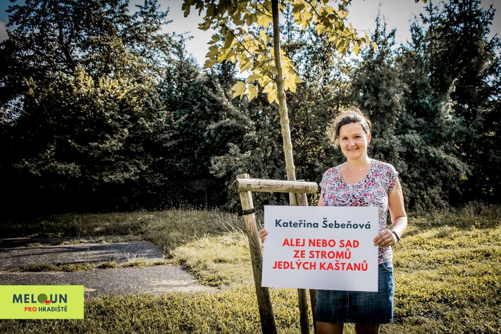 Kateřina Šebeňová: Kaštanová alej ve Veselé. Foto: Lucie Velichová