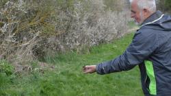 Vítání ptačího zpěvu v Dolním Bousově s Pavlem Kverkem. Foto: Zdeněk Plešinger