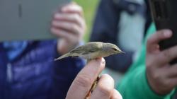 Vítání ptačího zpěvu v Dolním Bousově s Pavlem Kverkem. Foto: Zdeněk Plešinger
