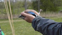 Vítání ptačího zpěvu v Dolním Bousově s Pavlem Kverkem. Foto: Zdeněk Plešinger