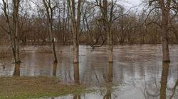 Jizera v Mnichově Hradišti 26. prosince 2023 v 11 hodin