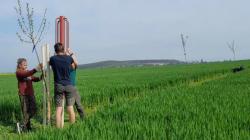 Dokončování polní cesty na Budách. Foto: ČSOP Klenice