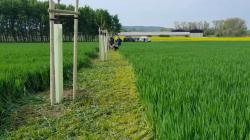 Dokončování polní cesty na Budách. Foto: ČSOP Klenice