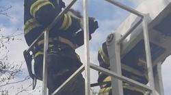 Kočka ve Veselé se dva dny nedokázala dostat ze stromu. Zachránili ji hasiči. Foto: HZS Středočeského kraje