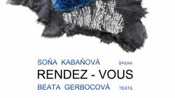 ZUŠ zve na výstavu slovenských výtvarnic Soni Kabaňové a Beaty Gerbocové