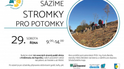 Pomozte sázet stromky pro potomky. V sobotu 29. října podél silnice od Kněžmostu na Koprník