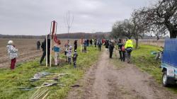 V sobotu 16. listopadu se sešla stovka dobrovolníků, aby vysadila 90 ovocných stromů v aleji mezi Hněvousicemi a Káčovem.​ Foto: Ondřej Kořínek, ČSOP Klenice