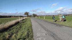 100 ovocných stromů přibylo mezi Násedlnicemi a Zájezdy​. Foto: ČSOP Klenice