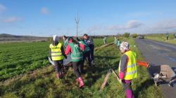 100 ovocných stromů přibylo mezi Násedlnicemi a Zájezdy​. Foto: ČSOP Klenice