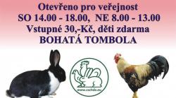 V Bakově se o víkendu koná tradiční výstava králíků, holubů a drůbeže