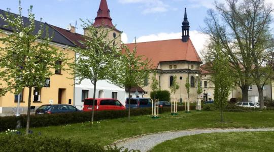 V Bakově nad Jizerou jsou nepřehlédnutelné nové výsadby stromů. Foto: město