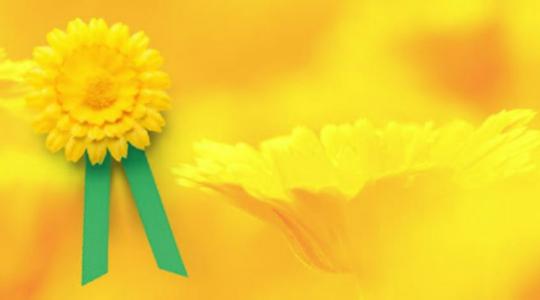 Dnes je Český den proti rakovině. Žlutou kytičku můžete zakoupit například v bakovské knihovně, přispět můžete i pomocí SMS