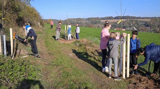 Chystá se obnova zaniklé cesty mezi Dnebohem a Přestavlky. Na výsadbě stromků se můžete podílet i vy. Ilustrační foto: ČSOP Klenice