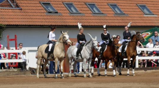 Jezdecký oddíl zve na den koní. Foto: JO Kněžmost