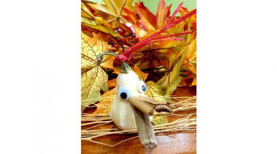 Bakov zve na dýňovou slavnost