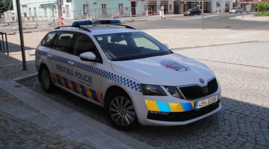 Městská policie řešila vloni více než tisíc událostí. Ilustrační foto: Petr Novák