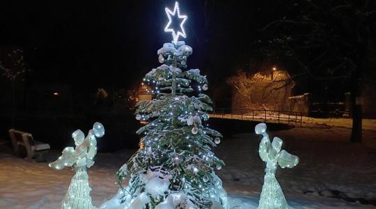 Vánoční stromek v Mohelnici nad Jizerou. Foto: obec
