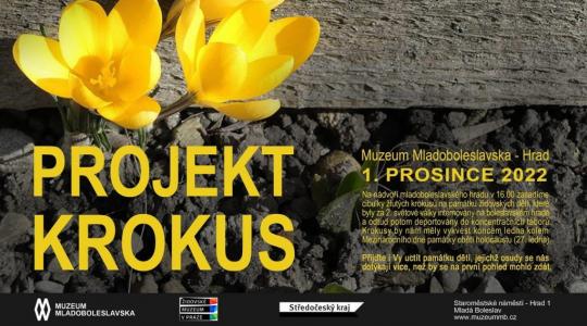 Muzeum Mladoboleslavska uctí památku dětských obětí holokaustu vysazením žlutých krokusů