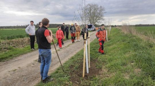 ČSOP Klenice opět sází stromky pro potomky. Zapojit se můžete v Hněvousicích a v Podolí