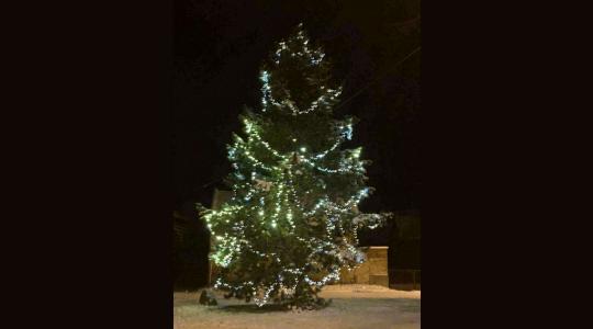 Foto: Michaela Švermová