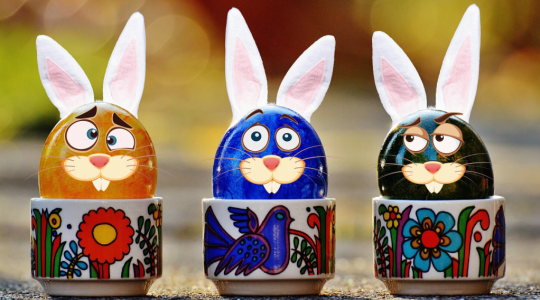 Ilustrační foto: fotobanka pixabay.com