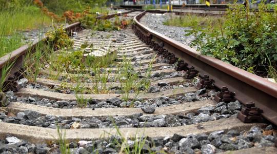 10. srpna bude jednodenní výluka na železniční trati mezi Loukovem a Turnovem. Ilustrační foto: fotobanka pixabay.com